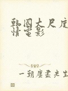 韩国大尺度的爱情电影