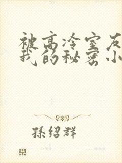 被高冷室友发现我的秘密小说