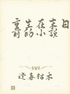 重生在末日降临前的小说