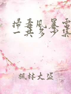 扫毒风暴电视剧一共多少集啊