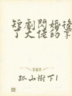 短剧闪婚后我成了大佬的掌中之物全集