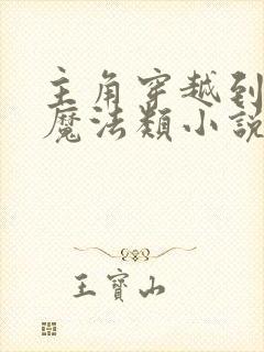 主角穿越到剑与魔法类小说