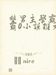 双男主学霸1校霸0小说推文