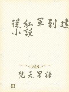 从红军到建国的小说