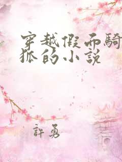 穿越假面骑士极狐的小说