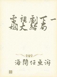 电视剧下一站婚姻大结局