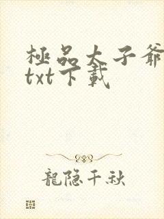 极品太子爷小说txt下载