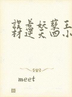 误惹妖孽王爷废材逆天四小姐免费