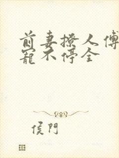 前妻撩人傅先生宠不停全