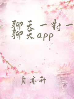 聊天一对一视频聊天app