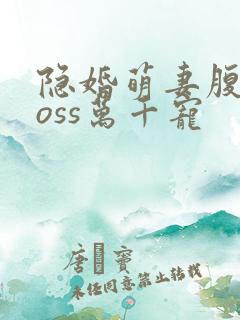 隐婚萌妻腹黑boss万千宠