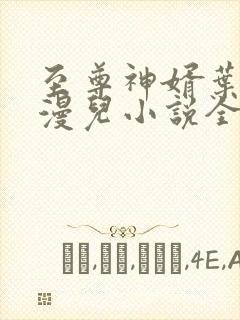 至尊神婿叶昊郑漫儿小说全文免费阅读