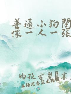 普通小狗闺蜜头像一人一张