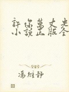 许你万丈光芒好小说正版全文下载