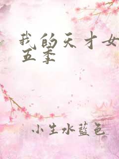 我的天才女友第五季