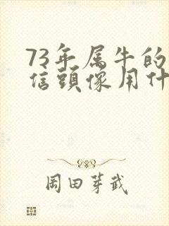 73年属牛的微信头像用什么最吉利