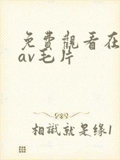 免费观看在线的av毛片
