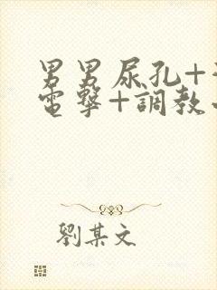 男男尿孔+灌+电击+调教小说