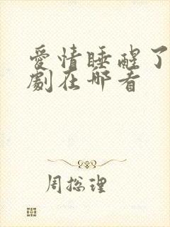 爱情睡醒了电视剧在哪看