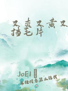 又爽又黄又无遮挡毛片