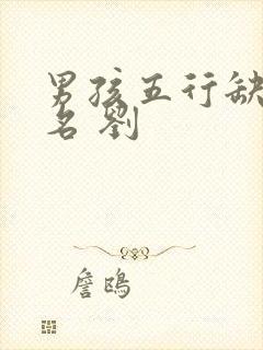 男孩五行缺金取名 刘