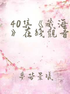 40集《藏海传》在线观看