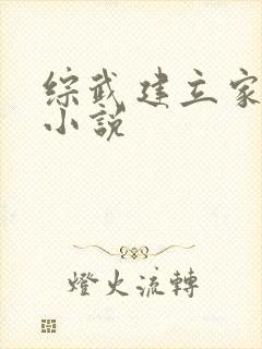 综武建立家族的小说