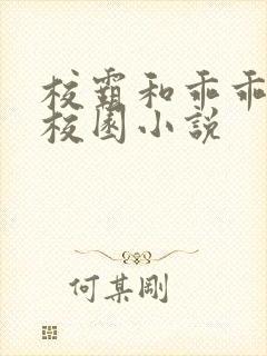 校霸和乖乖女的校园小说