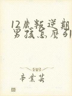 12岁叛逆期的男孩怎么引导