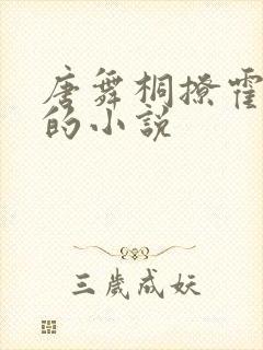 唐舞桐撩霍雨浩的小说