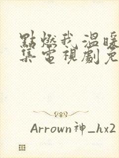 点燃我温暖你全集电视剧免费观看