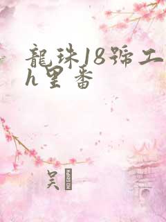 龙珠18号工口h里番