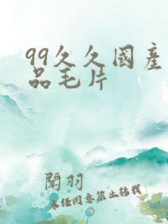 99久久国产精品毛片