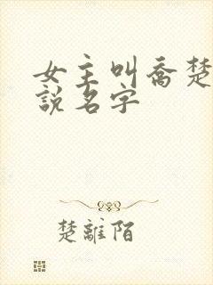 女主叫乔楚的小说名字