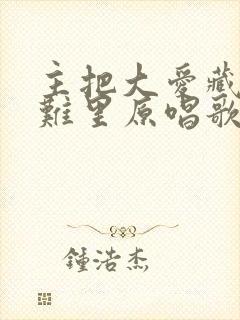 主把大爱藏在患难里原唱歌词