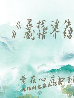 《寻找消失的她》剧情介绍