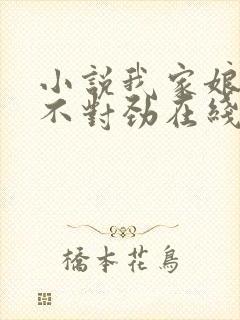 小说我家娘子,不对劲在线阅读