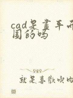 cad是画平面图的吗