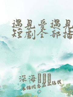 遇见爱遇见幸福短剧全部播放