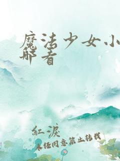 魔法少女小圆在哪看