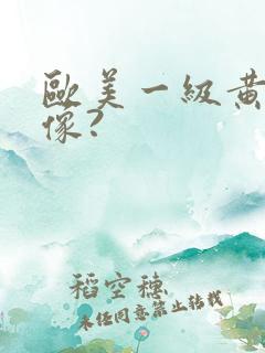 欧美一级黄色录像?