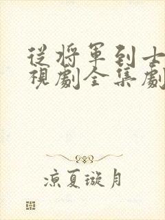 从将军到士兵电视剧全集剧情