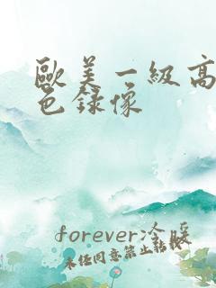 欧美一级高清黄色录像