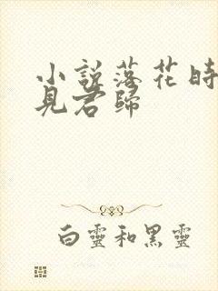 小说落花时节又见君归