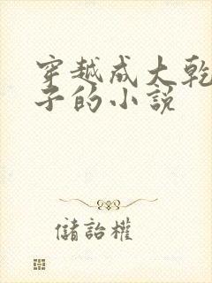 穿越成大乾六皇子的小说