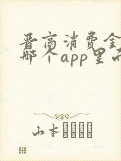 晋商消费金融是哪个app里面的