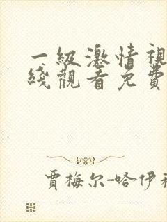 一级激情视频在线观看免费