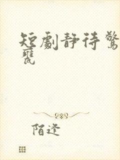 短剧静待惊鸿入瓮