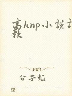 高hnp小说调教