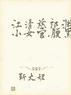 江清慈祁渊替身小女官,腹黑帝王沦陷了